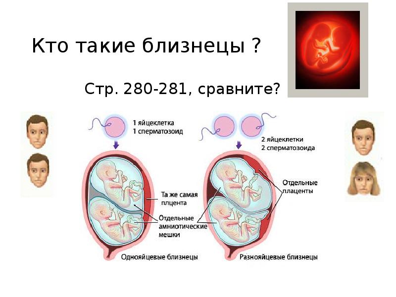 Кто такие близнецы ?
Стр. 280-281, сравните? Кто такие близнецы ?
Стр. 280-281, сравните?
