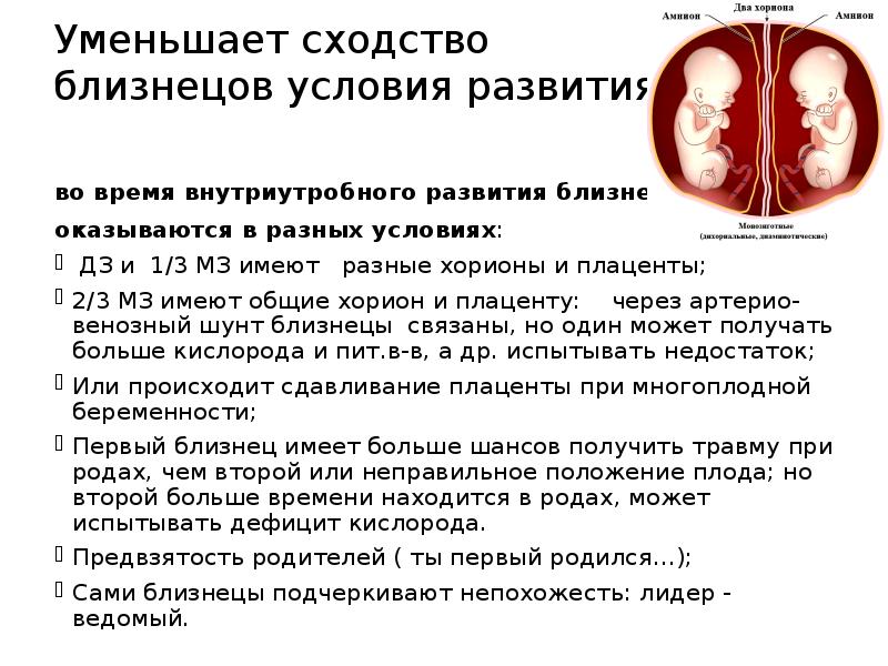 Уменьшает сходство близнецов условия развития:
во время внутриутробного развития близнецы Уменьшает сходство близнецов условия развития:
во время внутриутробного развития близнецы