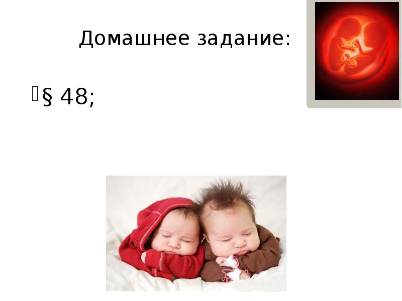 Домашнее задание:
§ 48; Домашнее задание:
§ 48;
