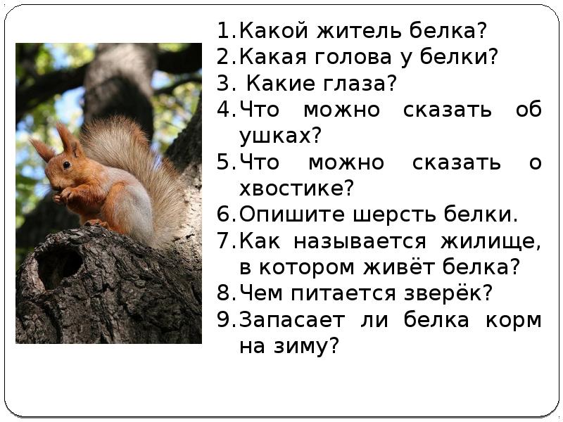 Что такое текст описание 2 класс школа россии презентация и конспект