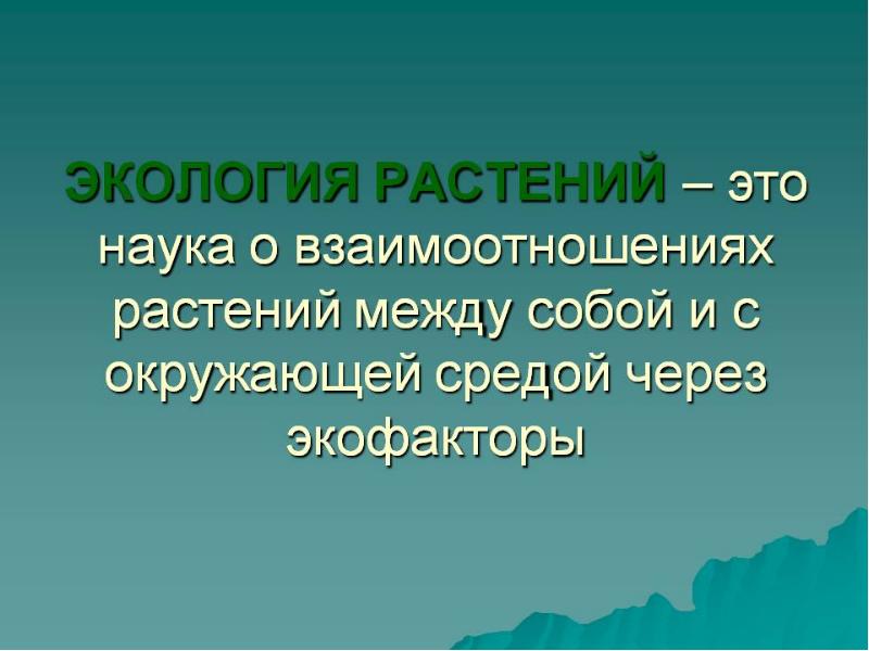 Экология растений это. Экология растений. Экология растений презентация. Экология растений это наука. Что изучает экология растений.