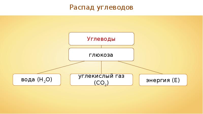 Глюкоза углекислый газ вода. Распад углеводов. Продукты распада углеводов. Конечные продукты распада. Конечный распад углеводов.