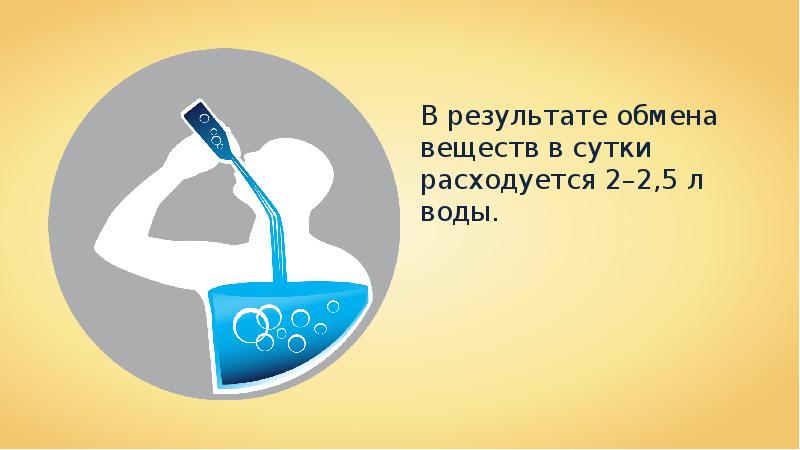 В результате обмена. Сколько воды в сутки расходуется в результате обмена веществ?.