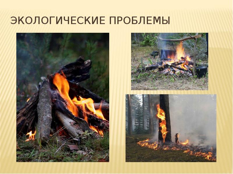 Проблемы использования природных ресурсов восточно европейской равнины. Эколог проблемы русской равнины. экологические проблемы русской равнины. экологические проблемы восточно европейской равнины.