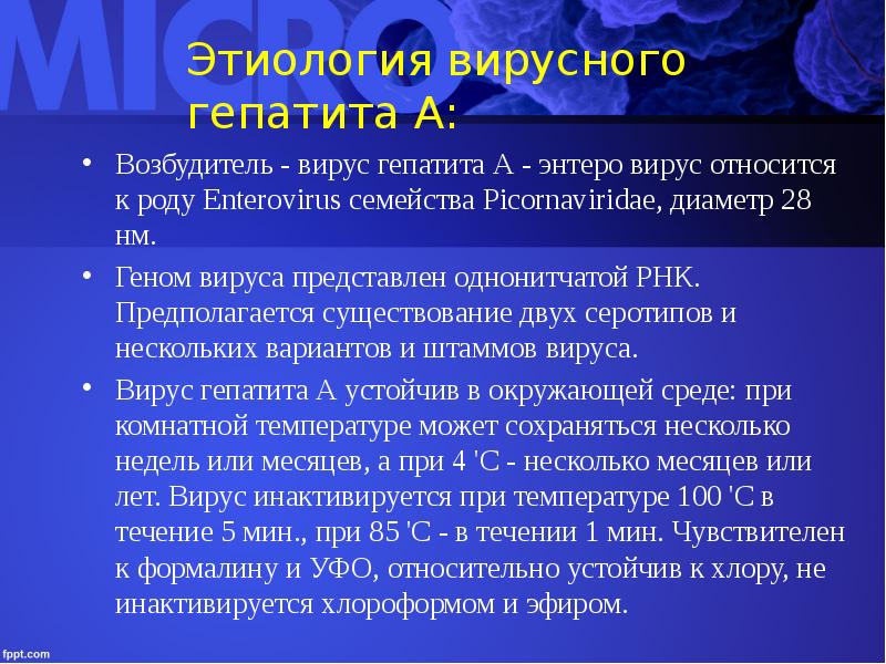 Тема: Профилактика вирусного гепатита А и Е