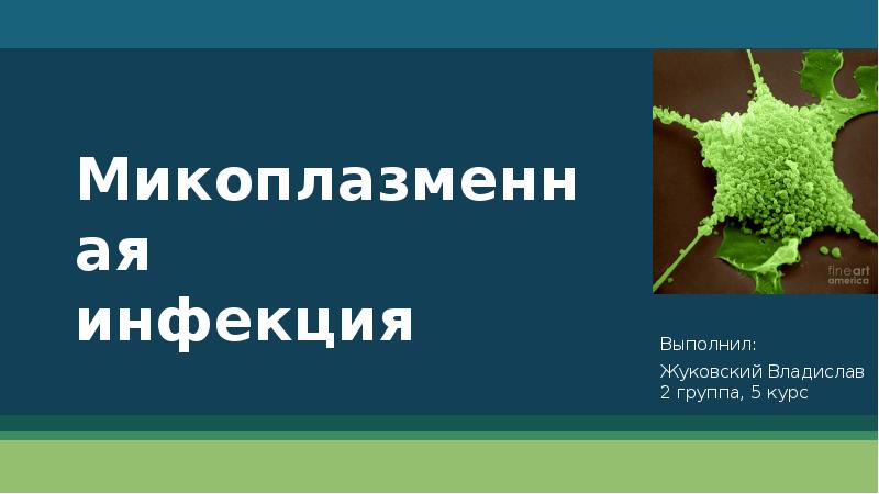 Микоплазменная инфекция презентация