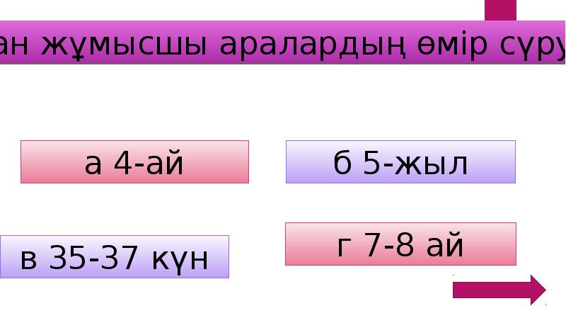 Қызық екен презентация