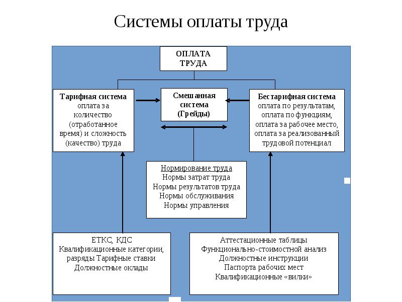 План рынок труда и заработная плата