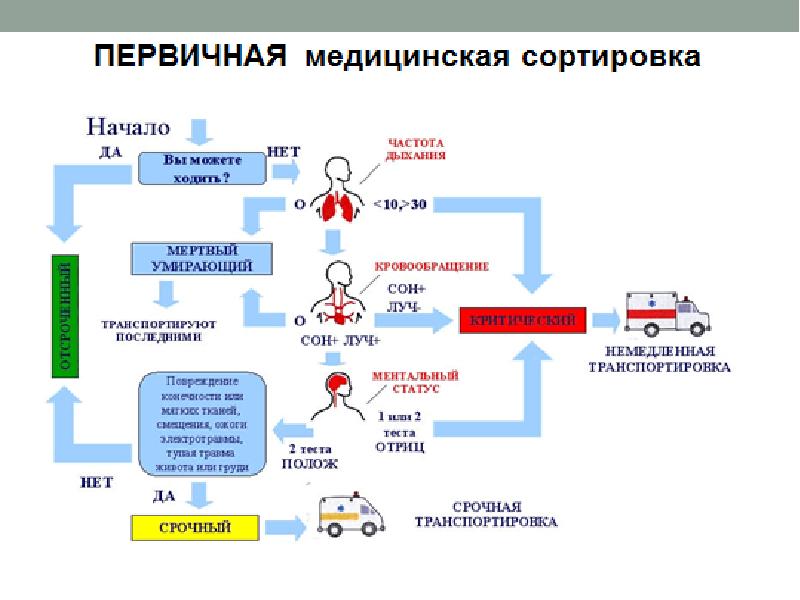 Медицинская сортировка презентация