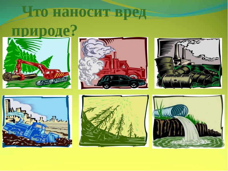 Презентация окружающий мир на воде и в лесу 2 класс окружающий мир плешаков