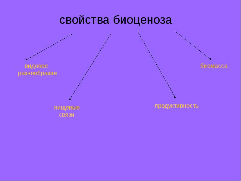 Сообщество презентация биология 9 класс