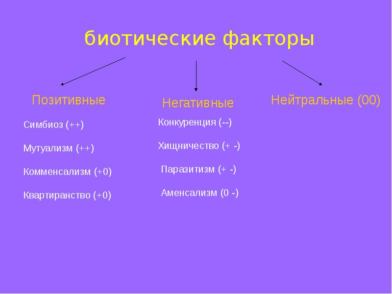 Сообщества 9 класс презентация