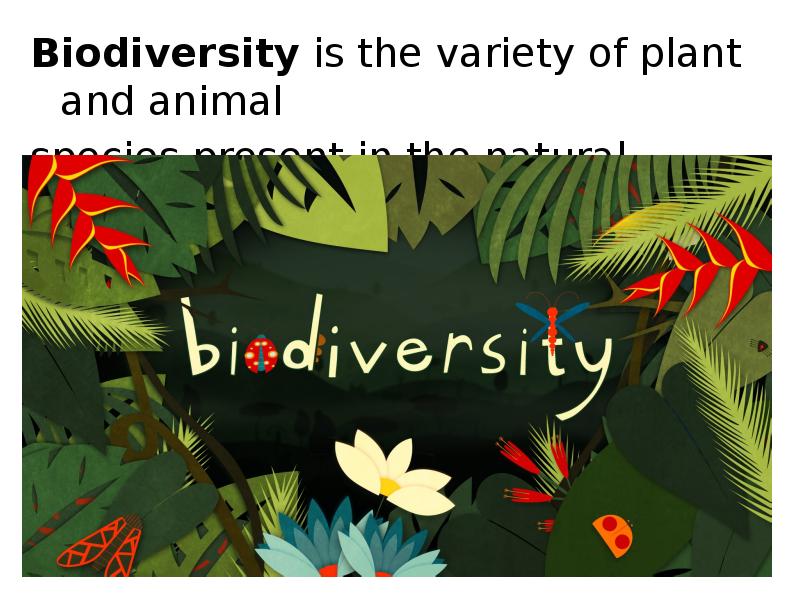 Biodiversity is the variety of plant and animal
Biodiversity is the Biodiversity is the variety of plant and animal
Biodiversity is the