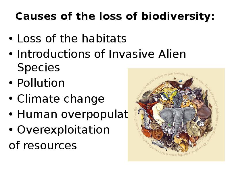 Causes of the loss of biodiversity:
Loss of the habitats
Introductions Causes of the loss of biodiversity:
Loss of the habitats
Introductions
