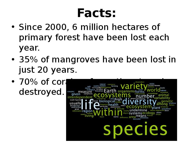 Facts:
Since 2000, 6 million hectares of primary forest have been Facts:
Since 2000, 6 million hectares of primary forest have been