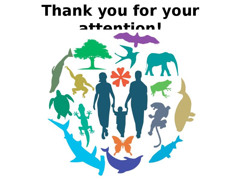 Thank you for your attention! Thank you for your attention!