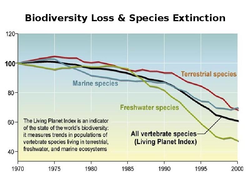 Biodiversity Loss & Species Extinction Biodiversity Loss & Species Extinction