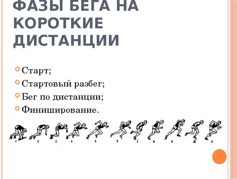 Фазы бега. Фазы бега на дистанции. Фазы бега на длинные дистанции. Техника бега на короткие дистанции по фазам. Короткие дистанции фазы.