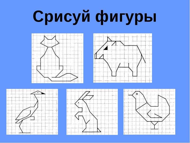 Графический диктант 2 класс