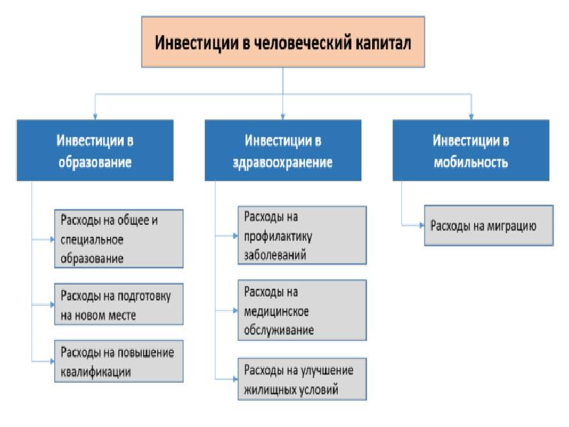 Человеческий капитал проект