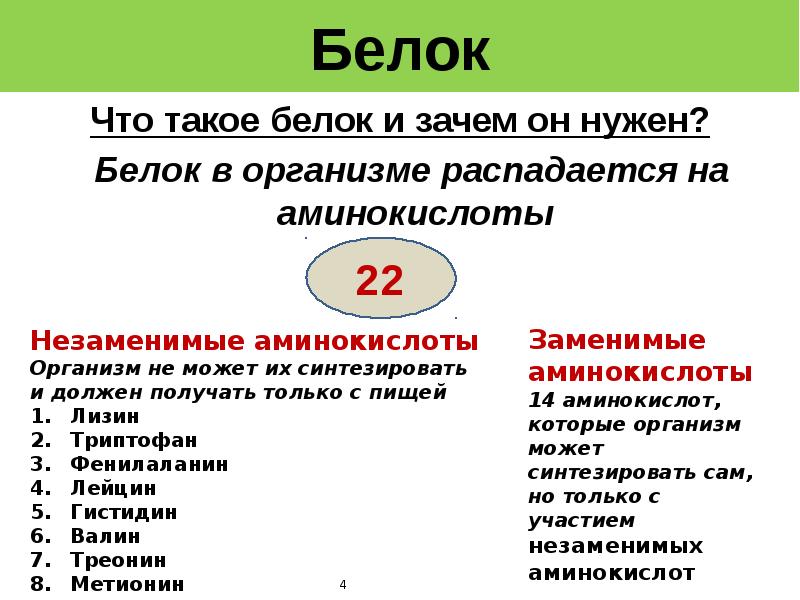 Для чего нужны белки