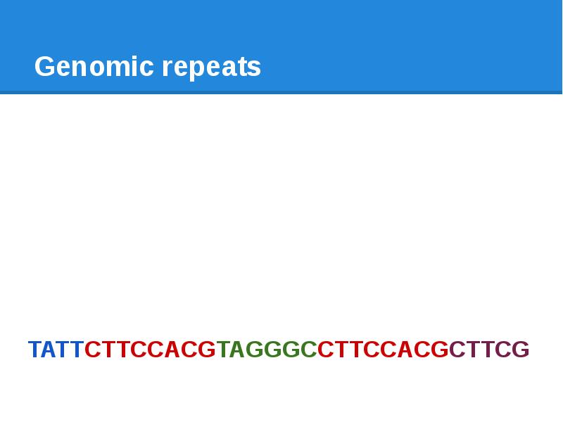 Genomic repeats TATTCTTCCACGTAGGGCCTTCCACGCTTCG