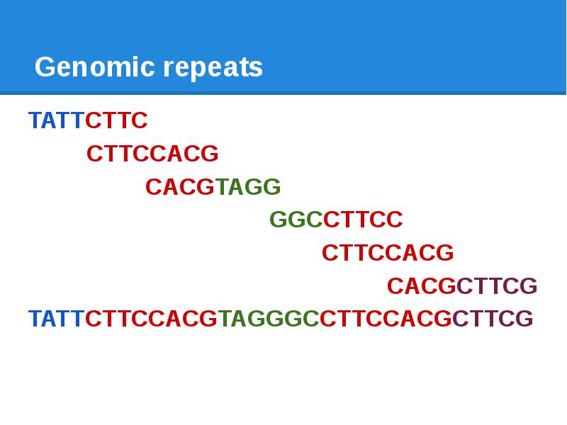 Genomic repeats TATTCTTC      CTTCCACG  