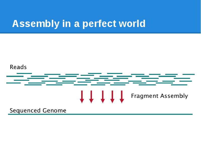 Assembly in a perfect world