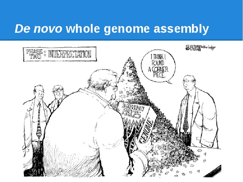 De novo whole genome assembly