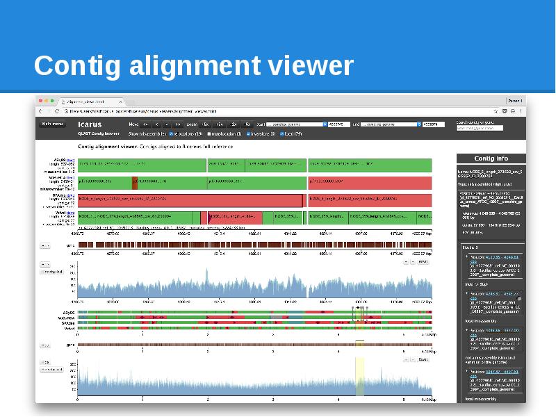 Contig alignment viewer