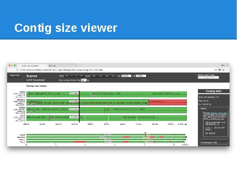 Contig size viewer