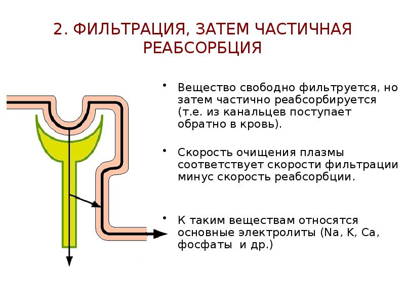 Схема противоточно множительной системы