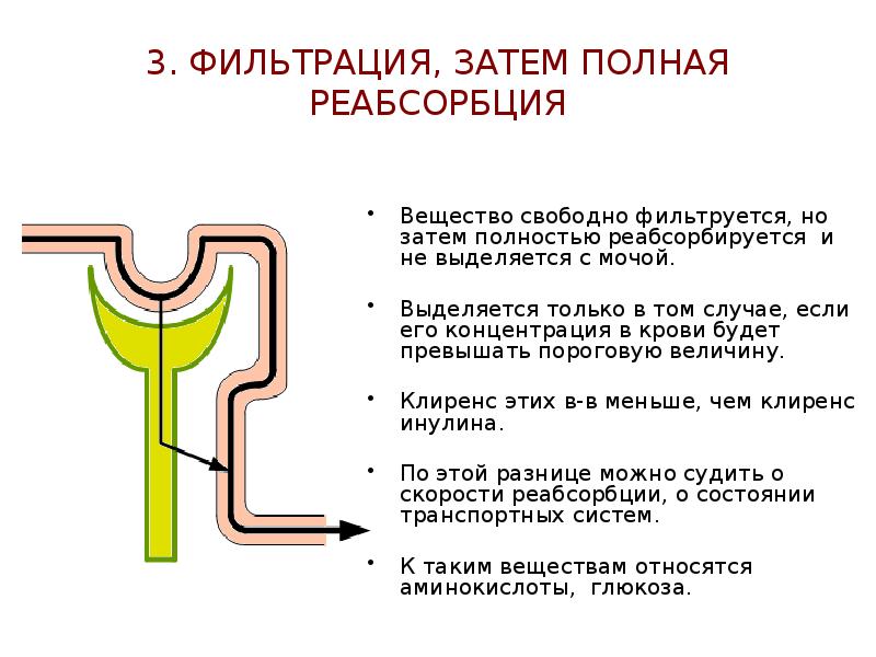 3. ФИЛЬТРАЦИЯ, ЗАТЕМ ПОЛНАЯ РЕАБСОРБЦИЯ
Вещество свободно фильтруется, но затем полностью 3. ФИЛЬТРАЦИЯ, ЗАТЕМ ПОЛНАЯ РЕАБСОРБЦИЯ
Вещество свободно фильтруется, но затем полностью