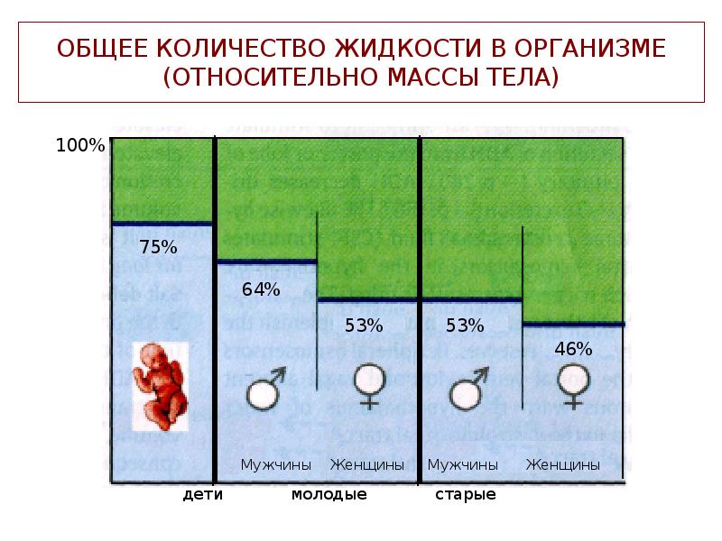 ОБЩЕЕ КОЛИЧЕСТВО ЖИДКОСТИ В ОРГАНИЗМЕ (ОТНОСИТЕЛЬНО МАССЫ ТЕЛА) ОБЩЕЕ КОЛИЧЕСТВО ЖИДКОСТИ В ОРГАНИЗМЕ (ОТНОСИТЕЛЬНО МАССЫ ТЕЛА)