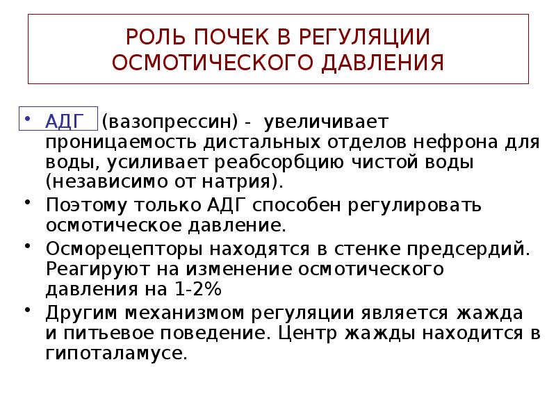 РОЛЬ ПОЧЕК В РЕГУЛЯЦИИ ОСМОТИЧЕСКОГО ДАВЛЕНИЯ
АДГ (вазопрессин) - увеличивает РОЛЬ ПОЧЕК В РЕГУЛЯЦИИ ОСМОТИЧЕСКОГО ДАВЛЕНИЯ
АДГ (вазопрессин) - увеличивает