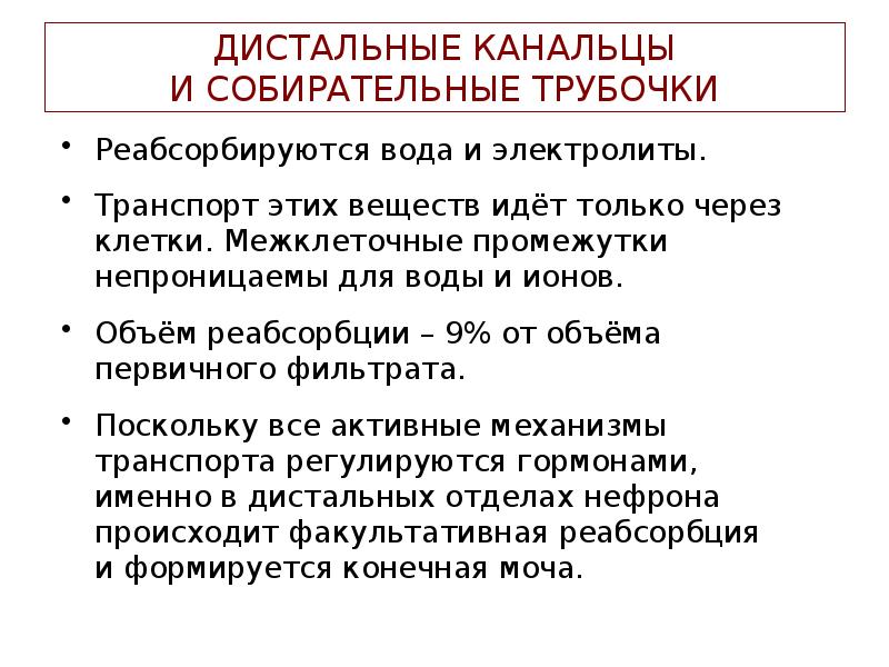 ДИСТАЛЬНЫЕ КАНАЛЬЦЫ И СОБИРАТЕЛЬНЫЕ ТРУБОЧКИ
Реабсорбируются вода и электролиты.
Транспорт этих ДИСТАЛЬНЫЕ КАНАЛЬЦЫ И СОБИРАТЕЛЬНЫЕ ТРУБОЧКИ
Реабсорбируются вода и электролиты.
Транспорт этих