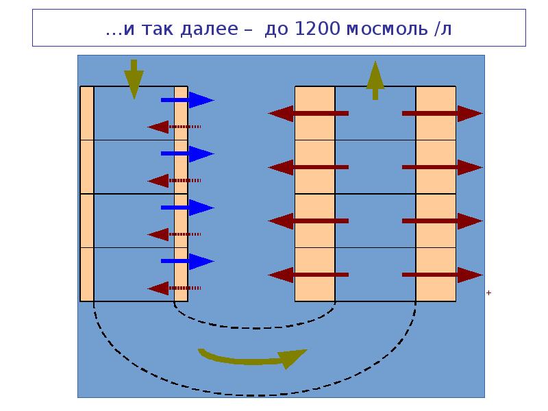 …и так далее – до 1200 мосмоль /л …и так далее – до 1200 мосмоль /л