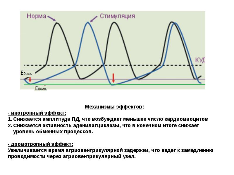 Возрастание амплитуды. Явление увеличения амплитуды. Отрицательный хронотропный эффект график. Амплитуда это в медицине. Эффект «возрастающего порядка».