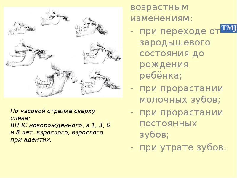 Особенности строения височно нижнечелюстного сустава презентация