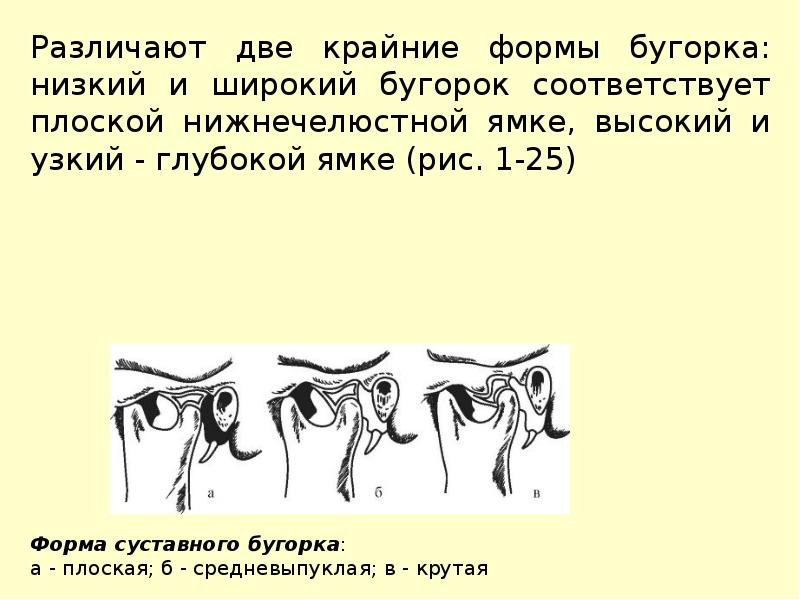 Особенности строения височно нижнечелюстного сустава презентация