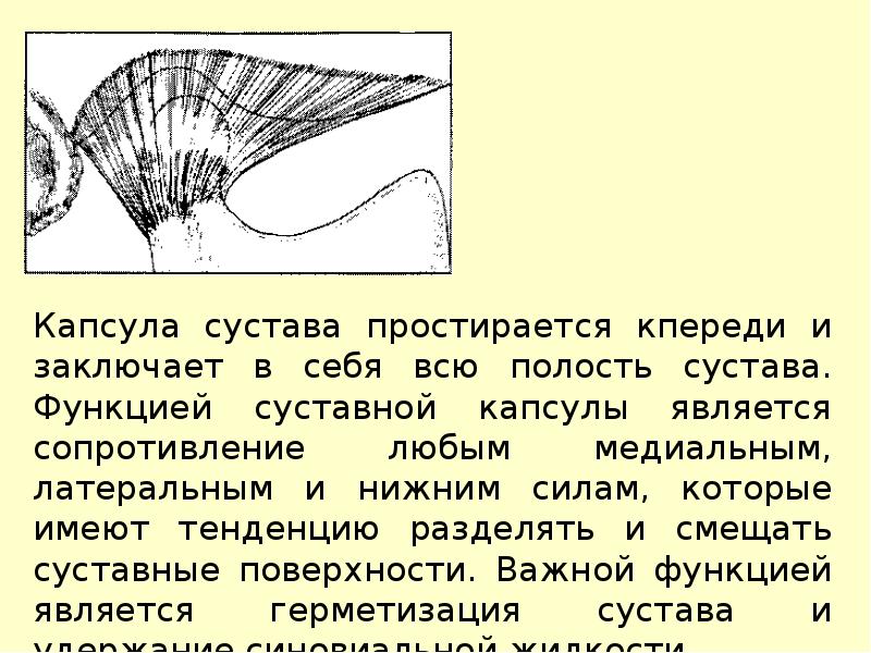 Особенности строения височно нижнечелюстного сустава презентация