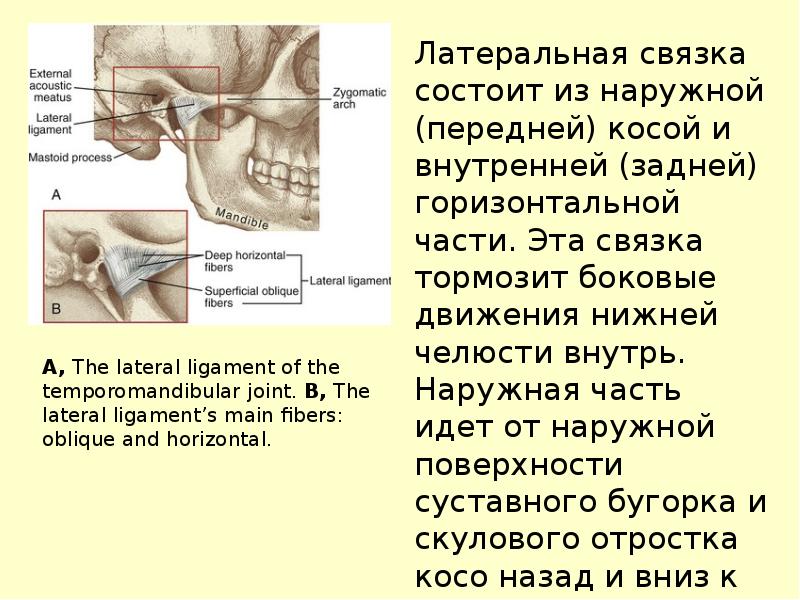 Презентация заболевания внчс