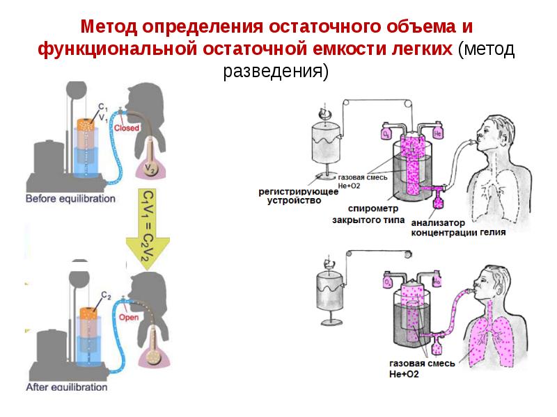 Биофизика дыхания презентация