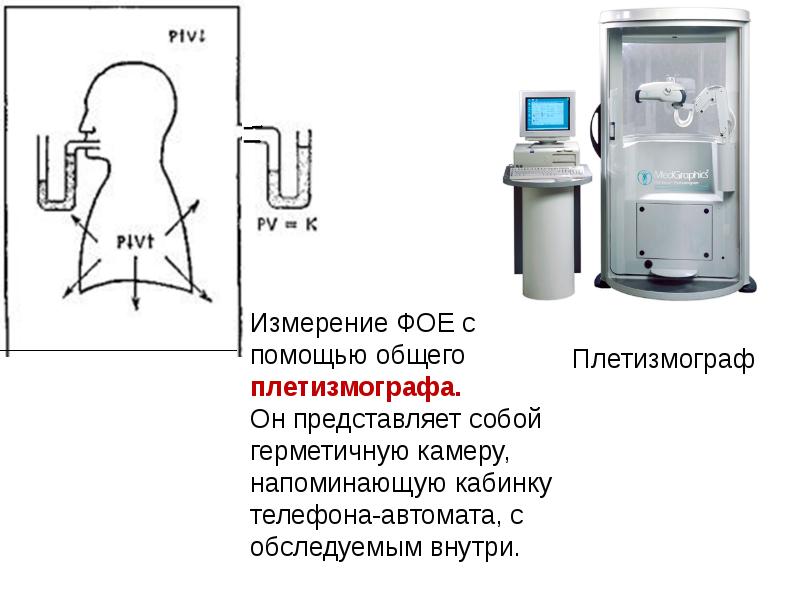 Презентация биофизика человека