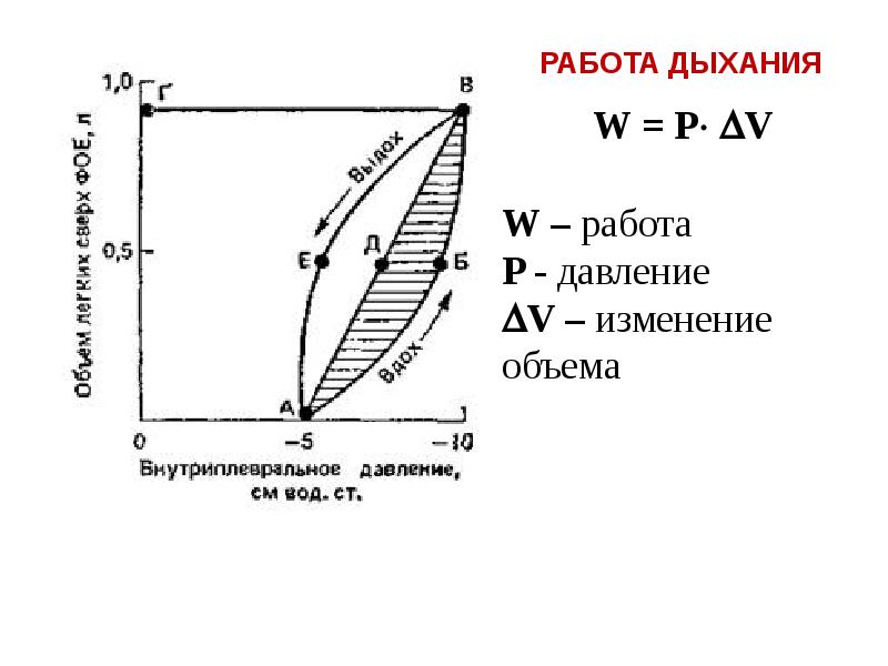 Биофизика дыхания презентация