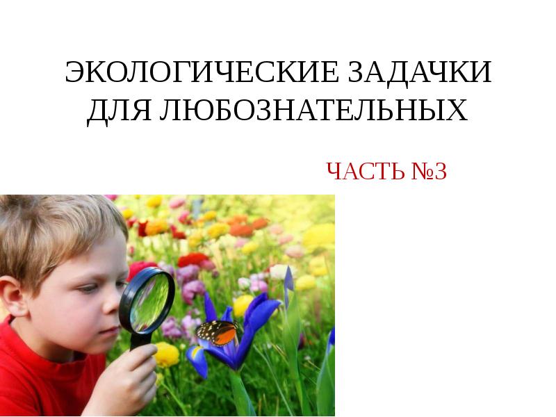 Растим любознательных. Логические задачи по экологии для школьников. Любознательность фото для презентации. Любопытно для презентации.