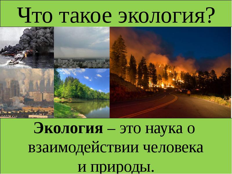 Что такое экология проект