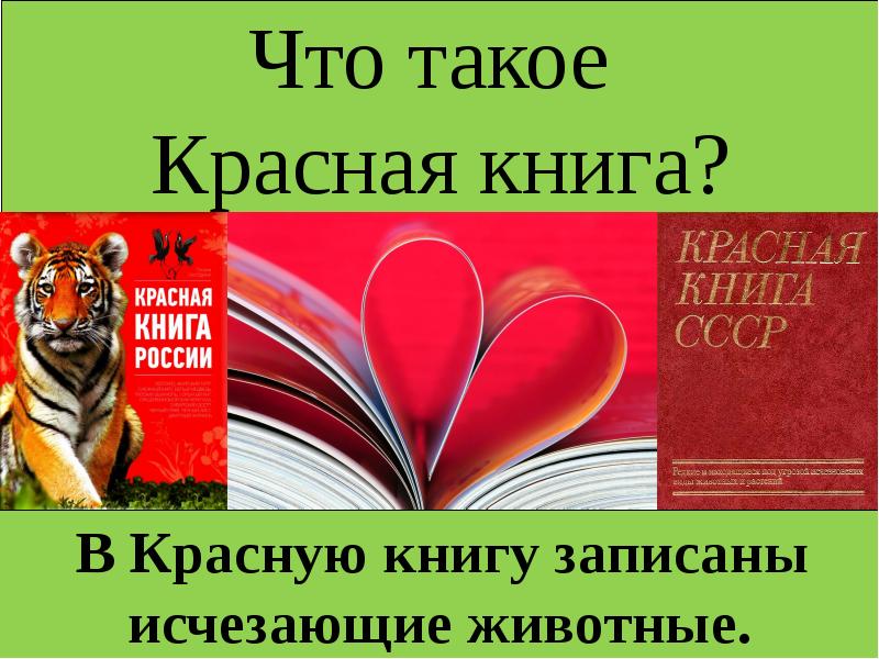 Презентация по красной книге 7 класс