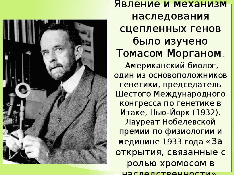 А н т и г е н. А н т и г е н