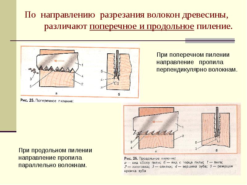 Вид пилы для продольного пиления древесины - Деревология Foto 16